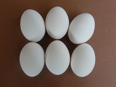 Ceramic Chicken Eggs   6pc.   high quality nest hatching, painting