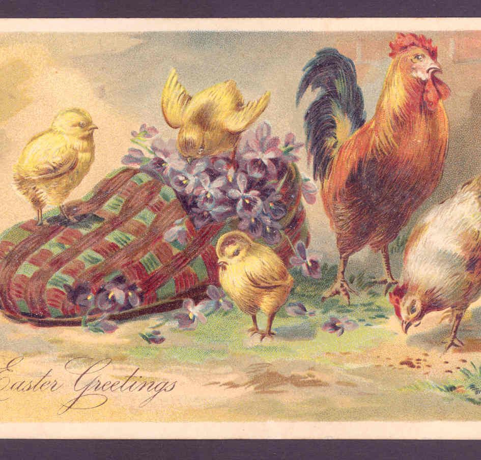 EASTER CHICKENS PLAY IN OLD HOUSE SLIPPER,SHOE,VIOLETS,ROOSTER,VINTAGE