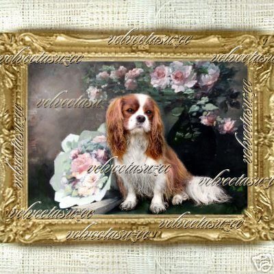 Dog Dollhouse Picture Cavalier King Spaniel Dolls House