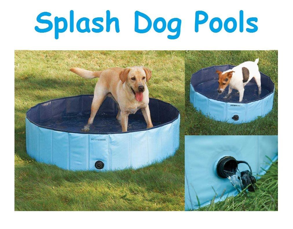 Extra Tough Dog Pools   Pool for Dogs   Keep Your Dog Cool This Summer