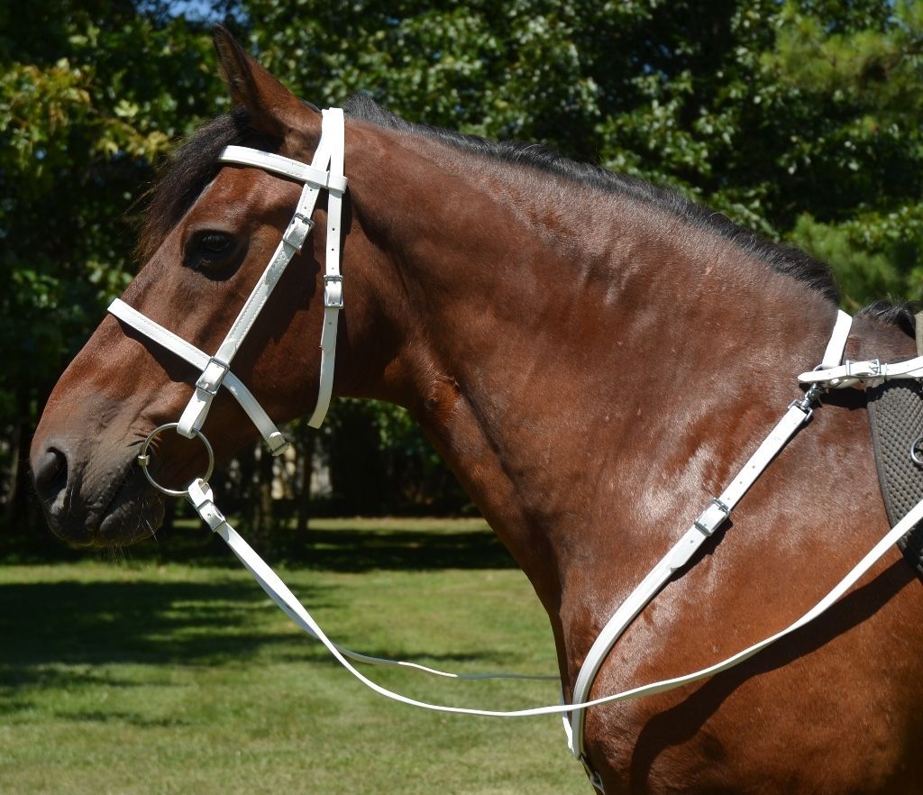 Any Size WHITE English BRIDLE & BREAST COLLAR SET Beta Biothane Trail