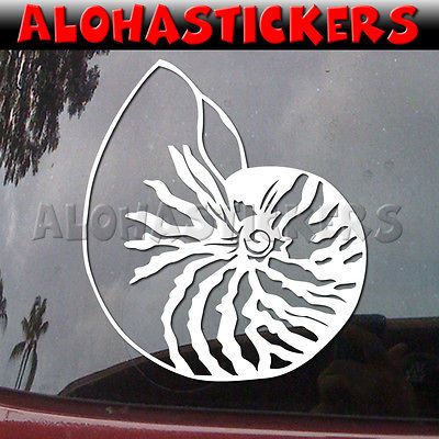 SHELL Seashell Car Truck Boat Van Laptop Vinyl Decal Window Sticker I7