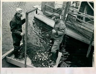 1977 James Luther Young Empty Nets Commercial Fishing Gulf Boat Press