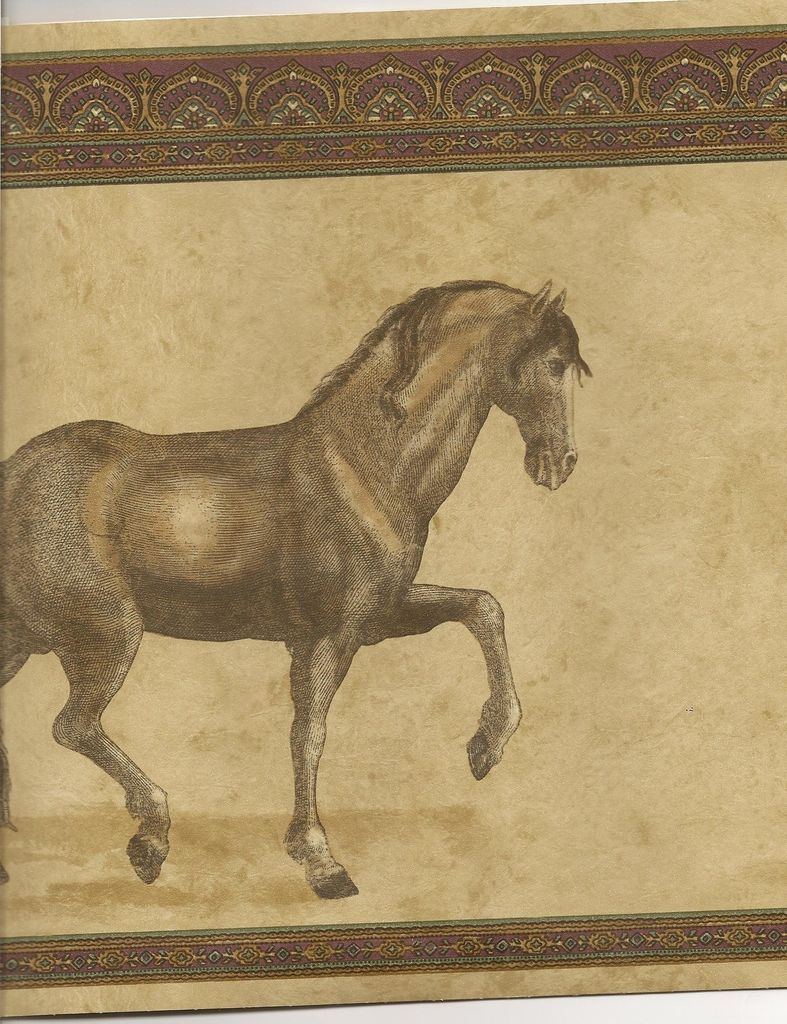 Discount Wallpaper Border For Sale / Animal Horse/ Brown Trim