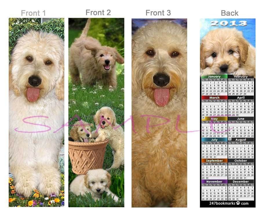 2013 CALENDAR Goldendoodle BOOKMARK Dog Card Figurine  NOT plush