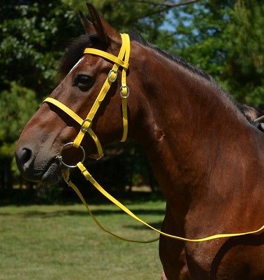 YELLOW ENGLISH BRIDLE & REINS Trail Endurance Beta Biothane Horse ANY