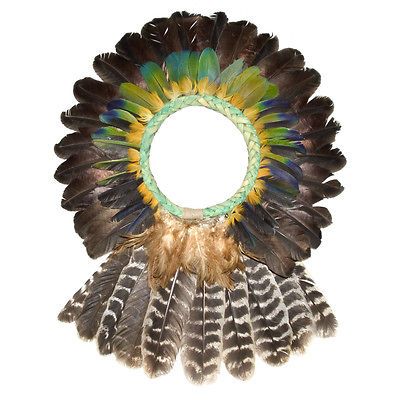 War Bonnet ian Crown Rikbaktsa yanomami guarani parrot macaw