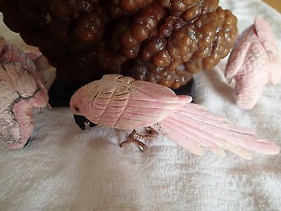 Semi Precious Beautifu Statute 3 Parrots On Stalagmitel Carved