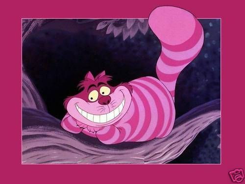 Cheshire Cat # 10   8 x 10   T Shirt Iron On Transfer