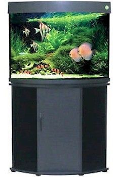 Penn Plax Compass Rose 36 Gallon Corner Fish Tank Black with Aquarium