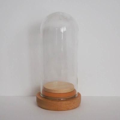 x7 Clear Glass Dome Cloche Wooden AirTight Base