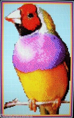 GOULDIAN FINCH ~ Cross Stitch KIT #D857