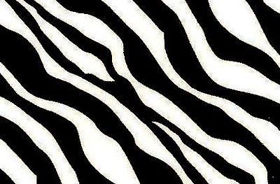 Diagonal B&W Zebra Edible Image ~ Edible Image Icing Cake Topper