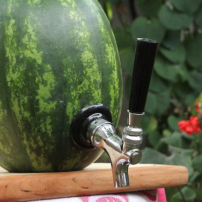 Watermelon Keg Cocktail Dispenser Shank Kit  Picnic Party Drink Food