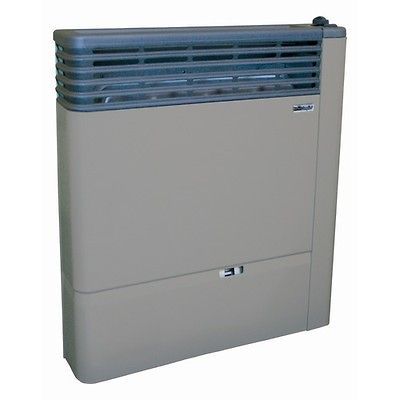 direct vent heater