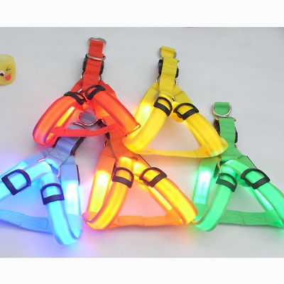 led dog harness