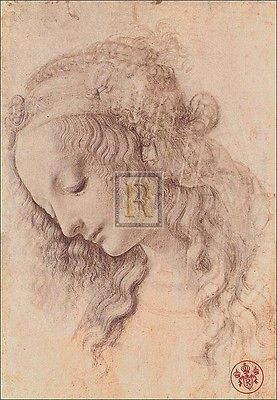 LEONARDO DA VINCI Testa Di Donna Di Profilo PORTRAIT