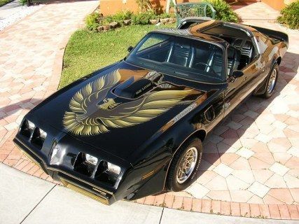 1979 80 Pontiac Trans Am Y84 SE Decal Kit Complete