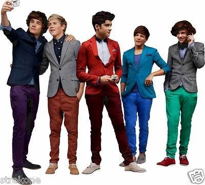 ONE DIRECTION  HOT Band Pop SuperStars Promo Pose WindoCling Stick On